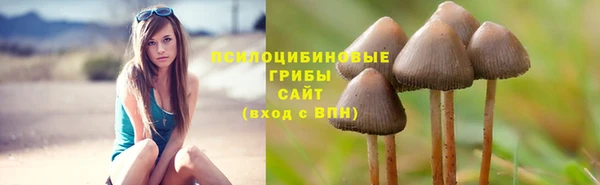 MDMA Кинешма