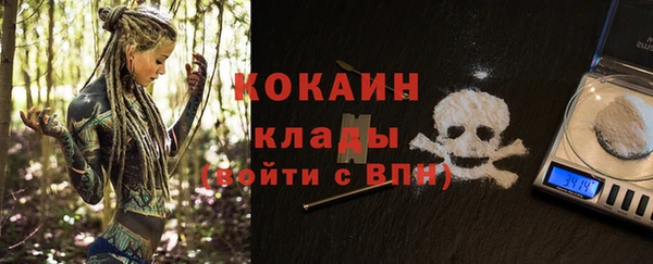 прущие грибы Каменка